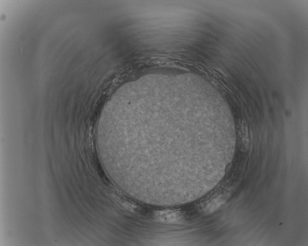 X0000068740511200605262054