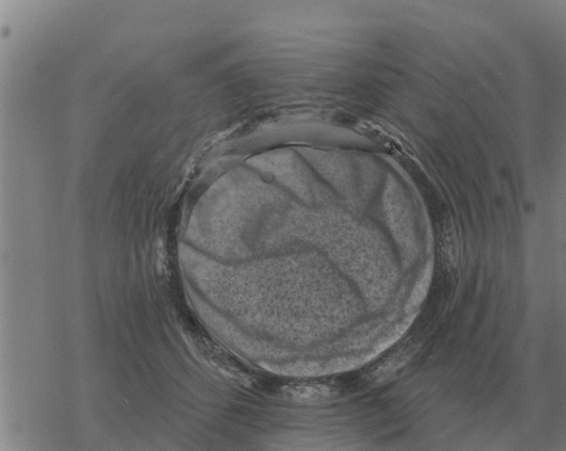 X0000068740512200605262054