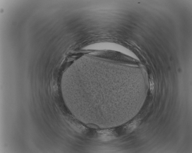 X0000068740516200605262054