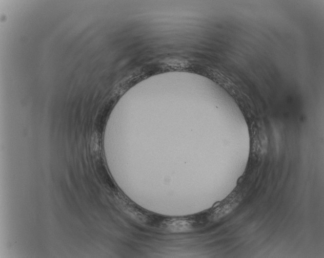 X0000068740518200605262054