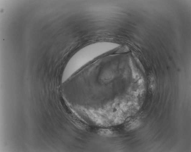 X0000068740519200605262054