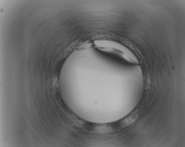 X0000068740521200605262054