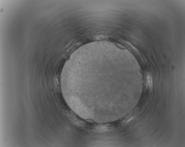 X0000068740523200605262054