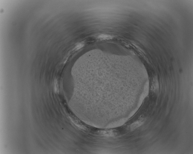 X0000068740524200605262054