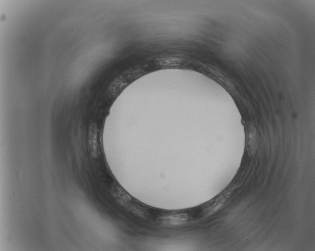 X0000068740525200605262054