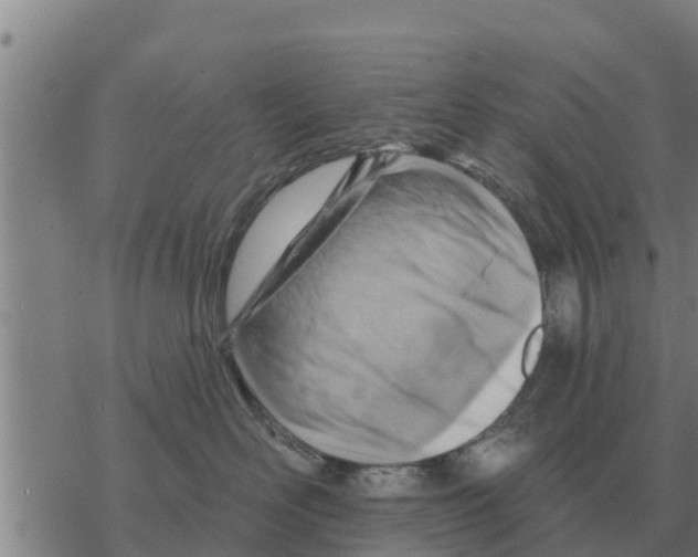 X0000068740526200605262054