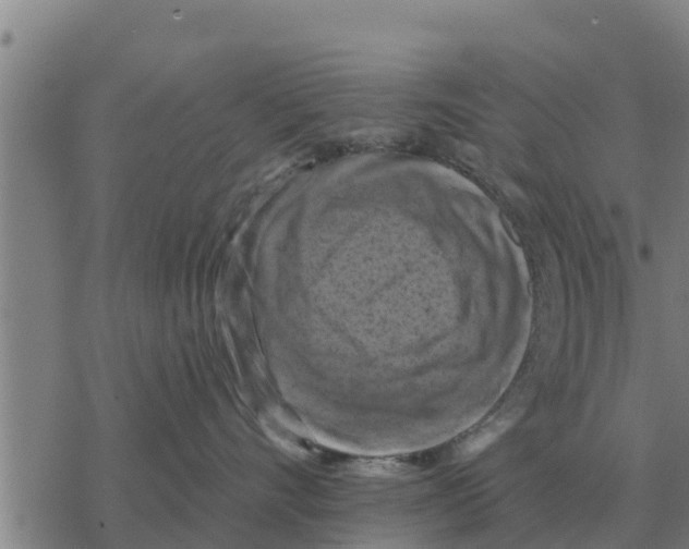 X0000068740528200605262054