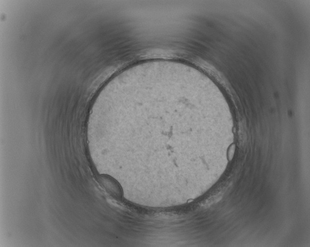 X0000068740529200605262053