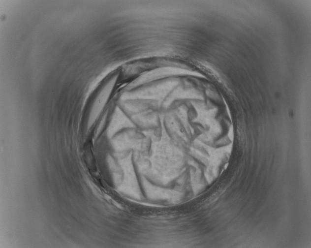 X0000068740532200605262053