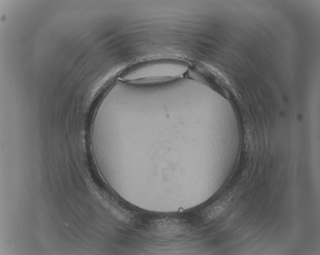 X0000068740535200605262053