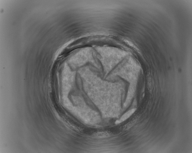 X0000068740536200605262053