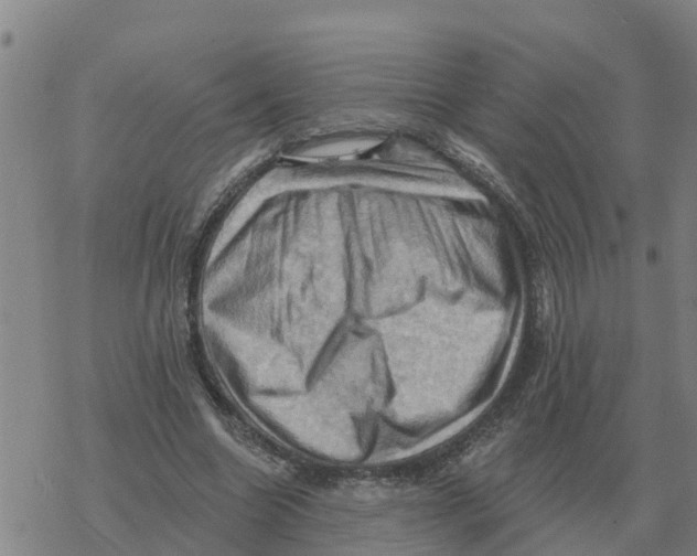 X0000068740538200605262053