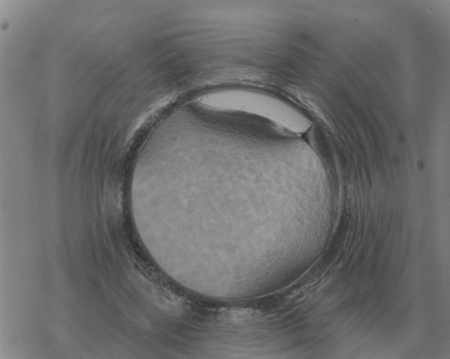 X0000068740539200605262053