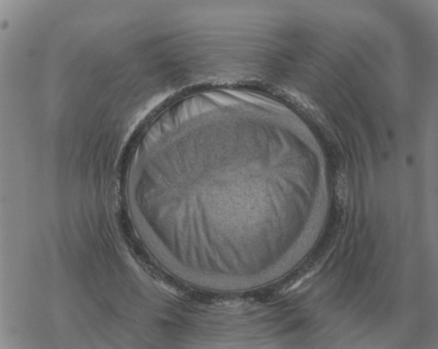 X0000068740540200605262053