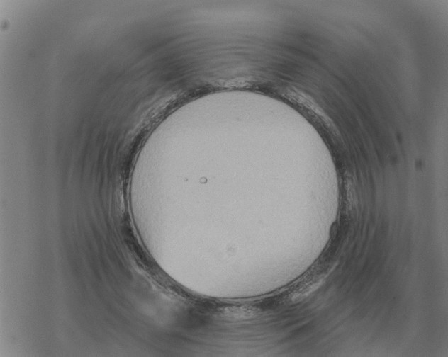 X0000068740541200605262053