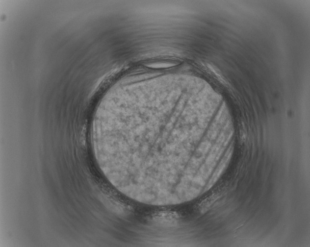 X0000068740543200605262053