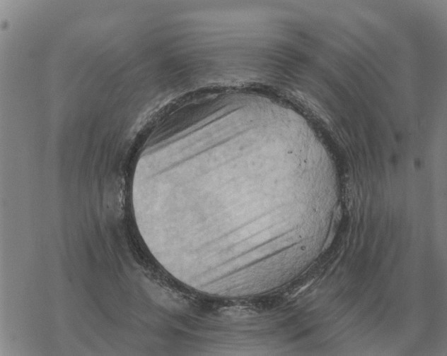 X0000068740544200605262053