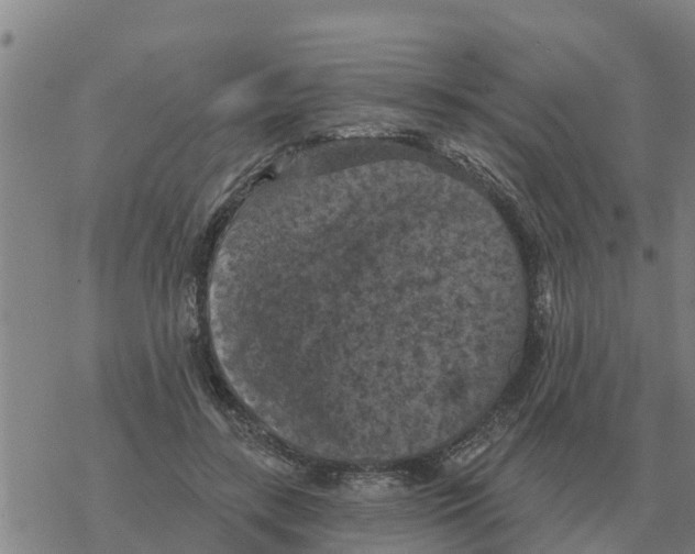 X0000068740547200605262053