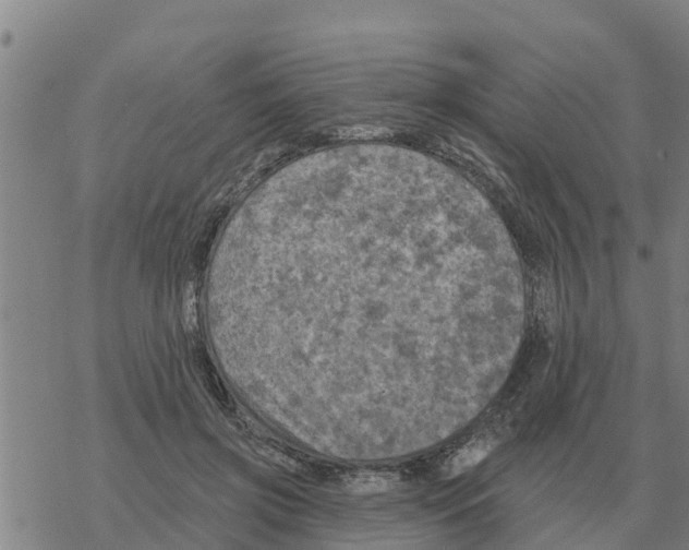 X0000068740549200605262053