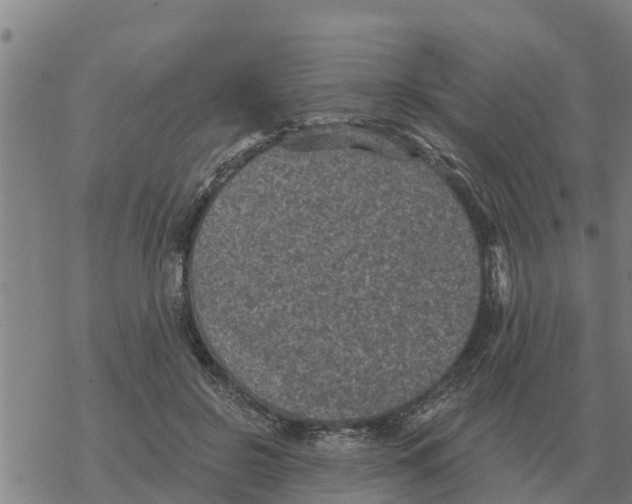 X0000068740550200605262053