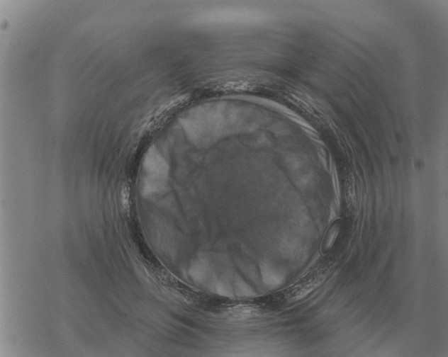 X0000068740551200605262053