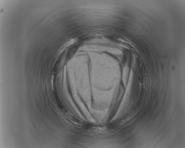 X0000068740552200605262053