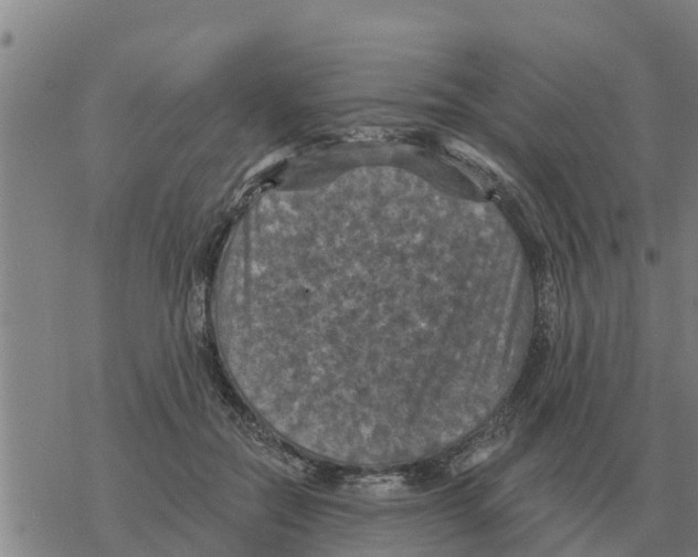 X0000068740554200605262053