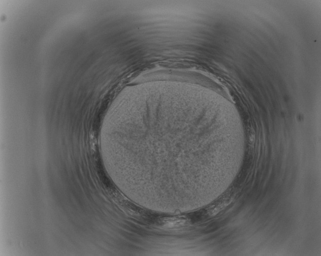 X0000068740555200605262053