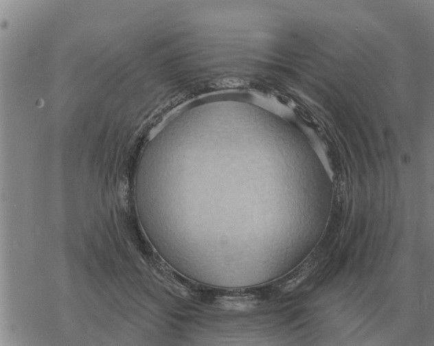 X0000068740556200605262053