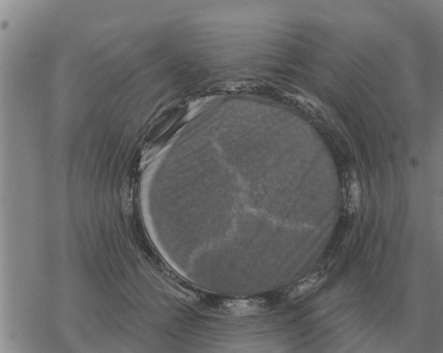 X0000068740558200605262053