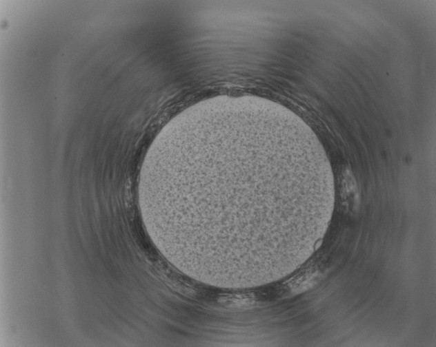 X0000068740559200605262053