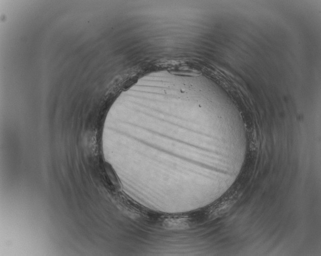 X0000068740560200605262053