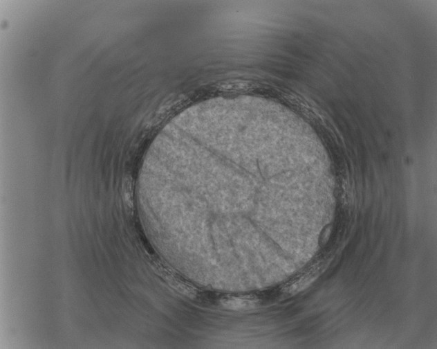 X0000068740561200605262053