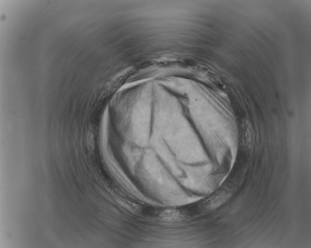 X0000068740562200605262053