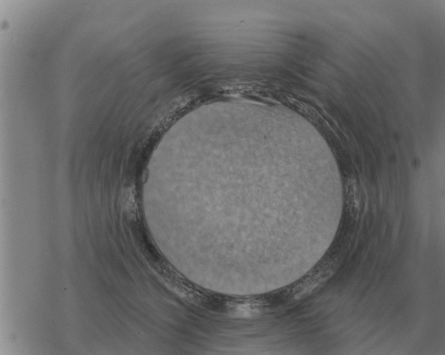 X0000068740564200605262053