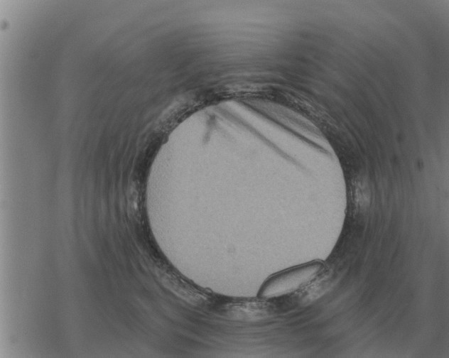 X0000068740567200605262053