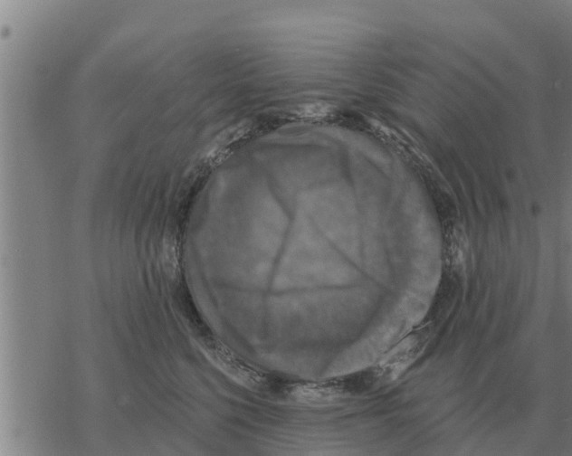 X0000068740568200605262054