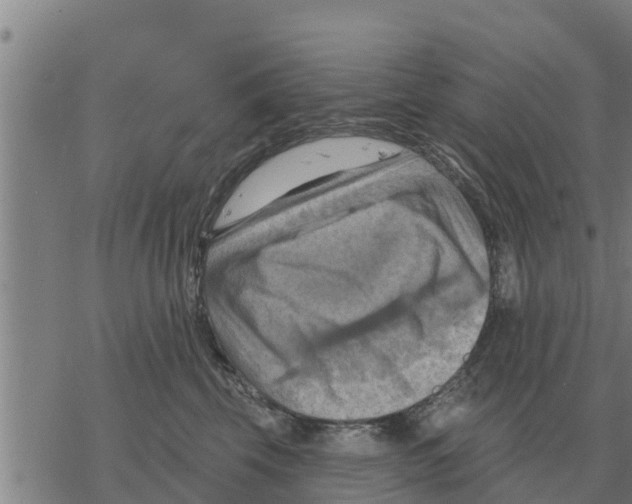 X0000068740569200605262054