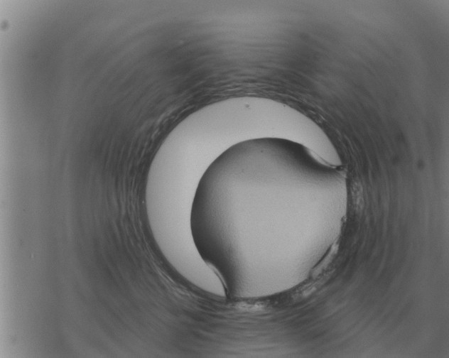 X0000068740570200605262054