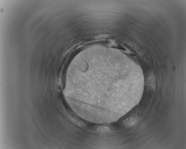 X0000068740572200605262054