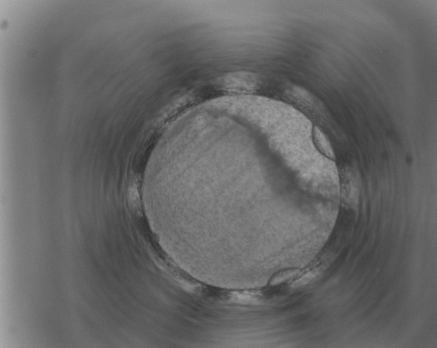 X0000068740573200605262054