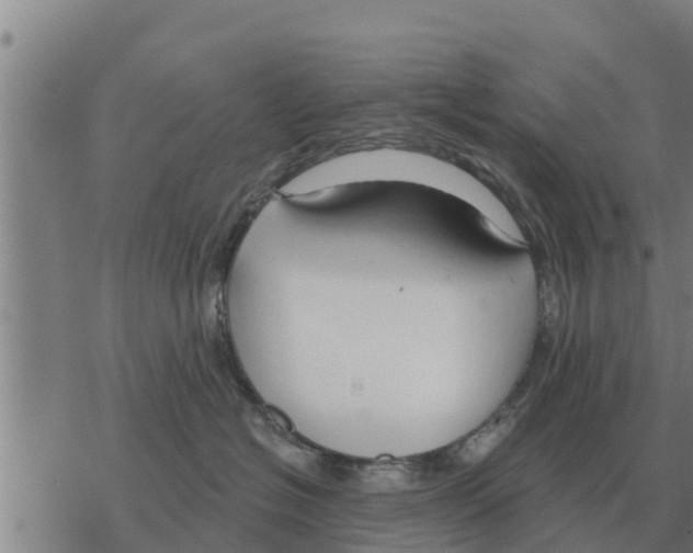 X0000068740574200605262054