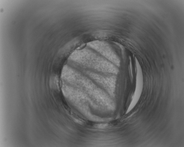 X0000068740575200605262054