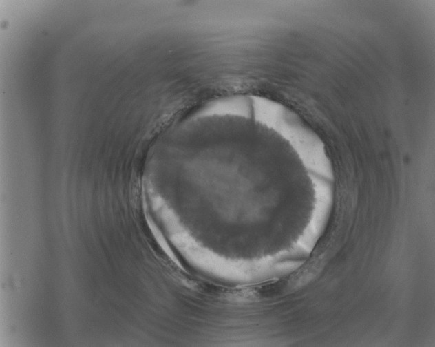 X0000068740576200605262054