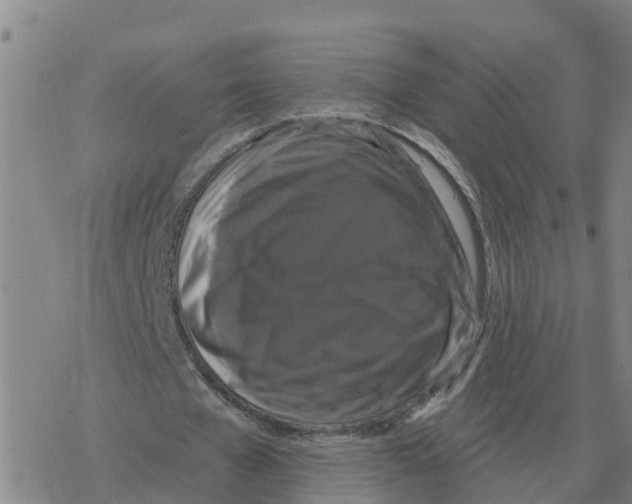 X0000068740577200605262053