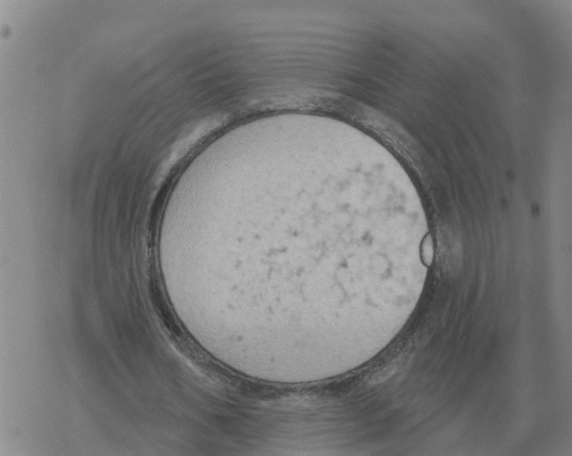 X0000068740578200605262053