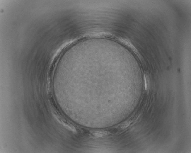 X0000068740579200605262053