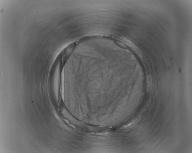 X0000068740580200605262053