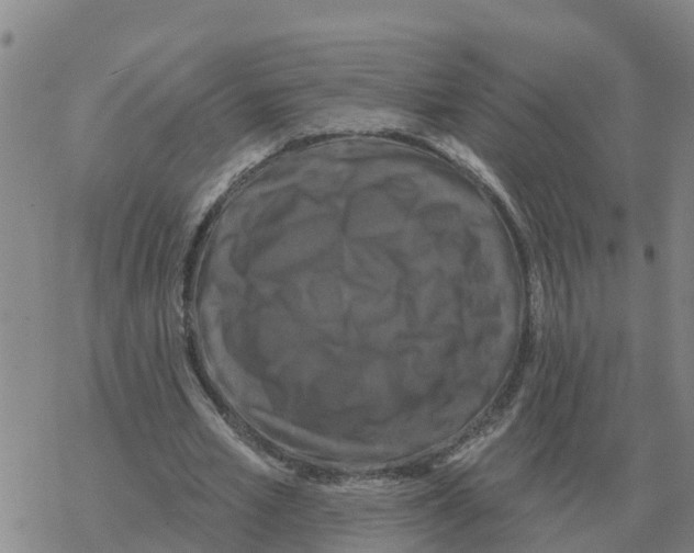 X0000068740581200605262053