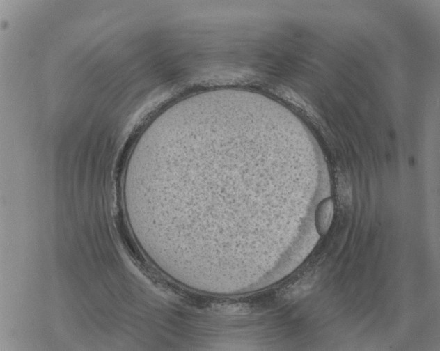 X0000068740582200605262053